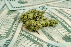 Economic benefits from marijuana sales