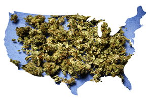 States legalizing marijuana in 2017